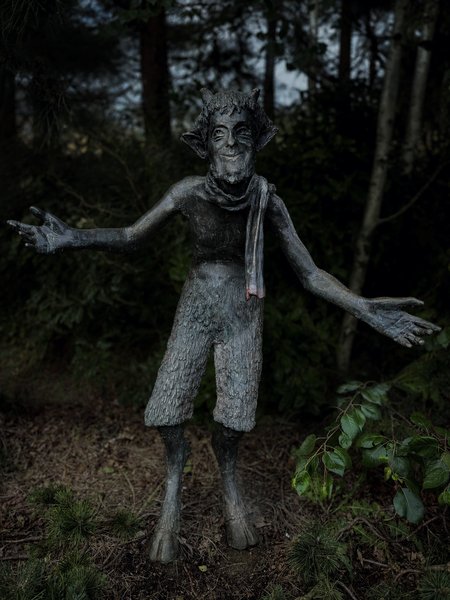 Child of the Forest